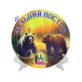 Тарелка Хабаровск 42497Х3